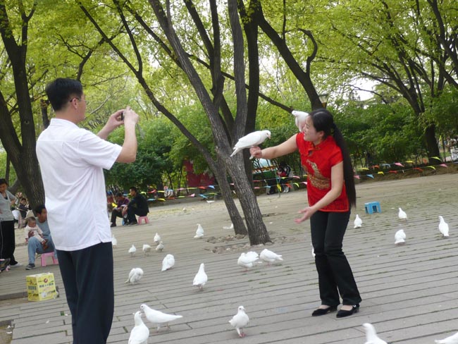 与广场鸽拍照